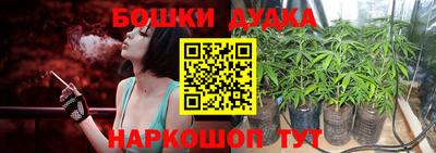 шишки Абакан