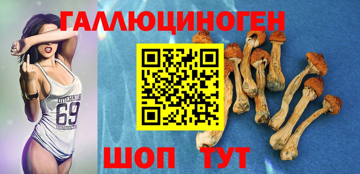 Псилоцибиновые грибы Psilocybine cubensis  Псилоцибиновые грибы Cubensis  Алушта 