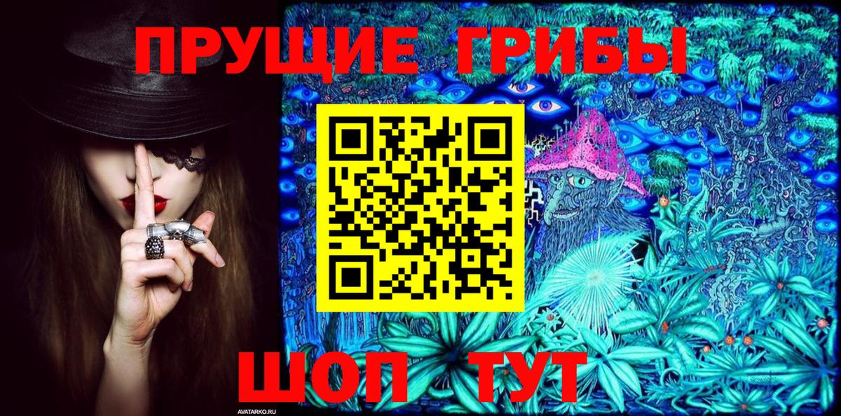 Галлюциногенные грибы Psilocybine cubensis Алушта