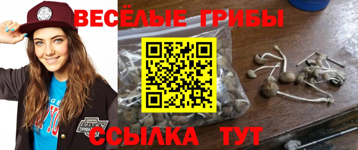 Галлюциногенные грибы прущие грибы  Вход с VPN  Алушта  Галлюциногенные грибы ЛСД 